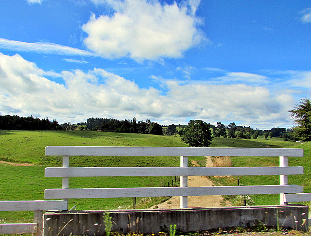 Bridge Over Cow Track.