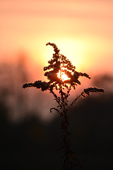 Sonnenuntergang und Abendrot