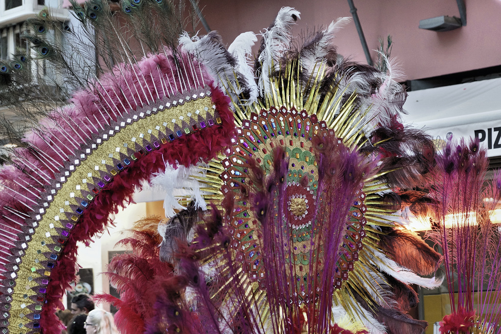Carnival Feathers – Viewed on Calle José Denis Belgrano, Málaga, Andalucía, Spain