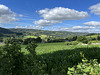 BE - Bellevaux - Sommerliche Landschaft