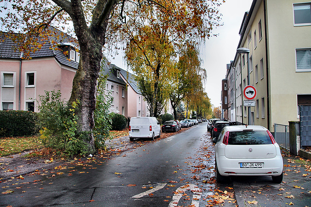 Am Gartenkamp (Bochum-Riemke) / 11.11.2023