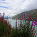 am Mattmarksee (© Buelipix)
