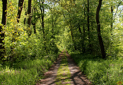 2016-05-07 11a Eo, Domholzschänke