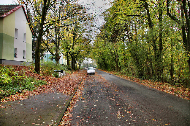 Hans-Böckler-Straße (Waltrop) / 2.11.2017