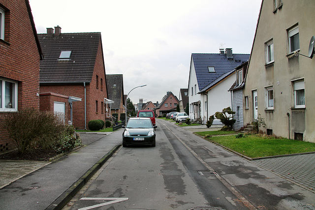 Grenzmarkstraße (Siedlung Beisenkamp, Datteln) / 5.01.2018