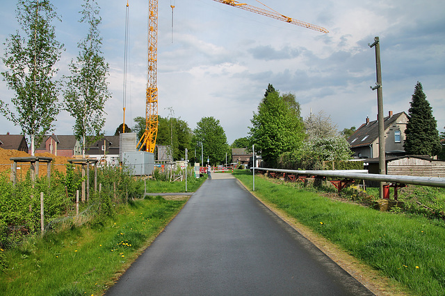 Radweg "Allee des Wandels" auf der ehem. RBH-Zechenbahn (Herten-Langenbochum) / 22.04.2018