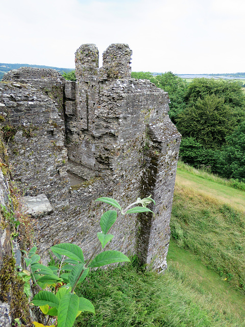 restormel castle, cornwall (12)