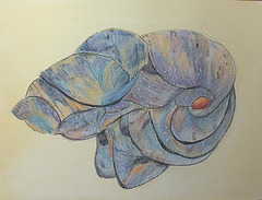 Hosta Leaf. Pastel Drawing