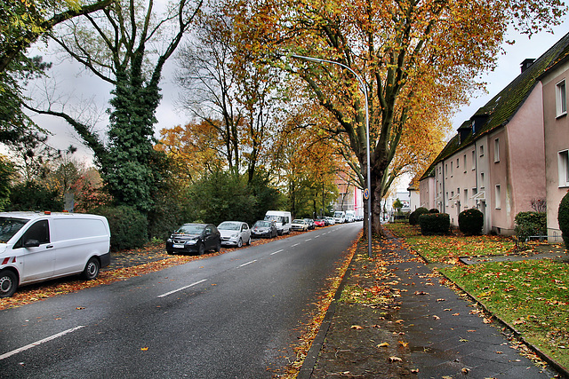 Auf dem Dahlacker (Bochum-Riemke) / 11.11.2023