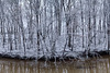 Wintereinbruch am Ems-Vechte-Kanal