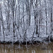 Wintereinbruch am Ems-Vechte-Kanal