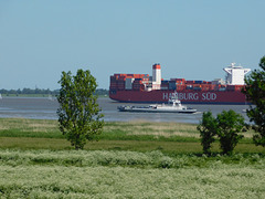 Containerfrachter und Elbfähre