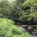 Stream near Otterburn