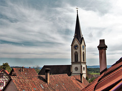 Hausdachsicht Benken ZH