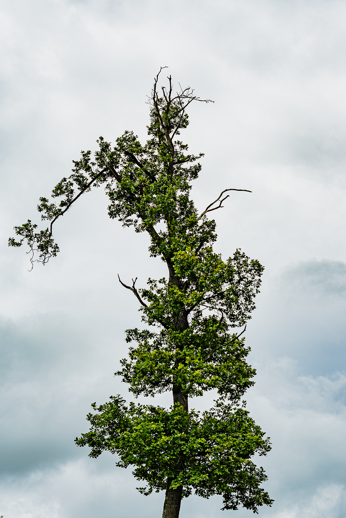 20240630_Elbingerode Rübeland Rappbodetalsperre