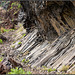 Wanderweg durch Basalt