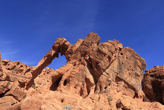 Elephant Rock