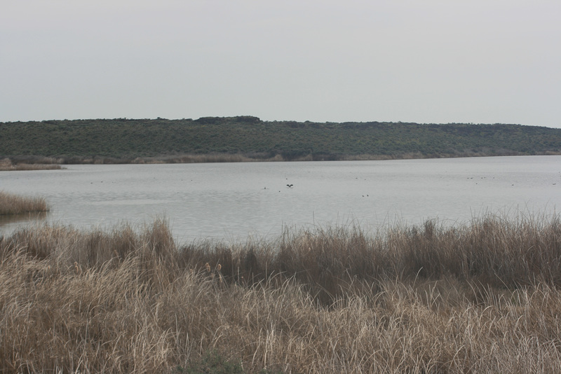 IMG 7639