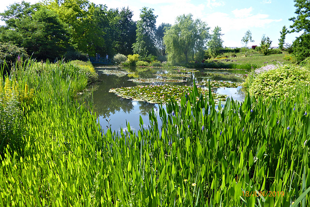 les jardins d'eau CARSAC AILLAC