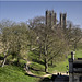 Lincoln Castle Grounds
