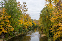 Chemnitzfluß am Falkeplatz