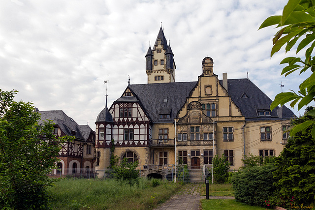 Verlassene Villa / Deserted Mansion