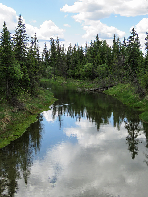 Weaselhead birding