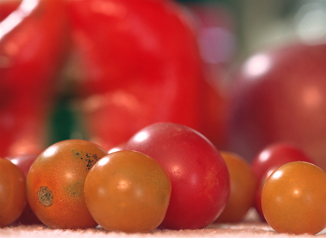 Cherry Tomatoes