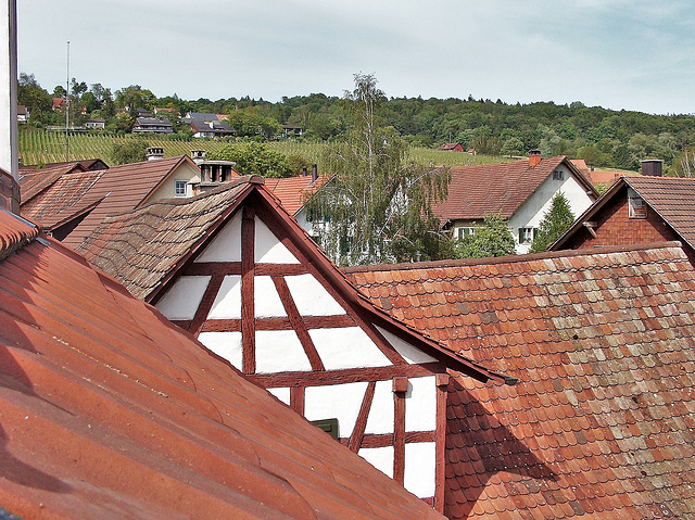 Hausdachsicht Benken ZH