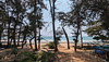 Ombres, arbres et plage / Shady spot with trees and sea view