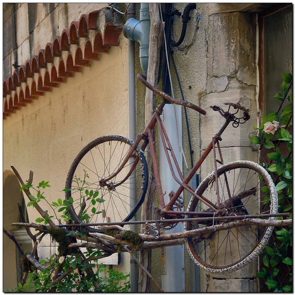 Fahrrad