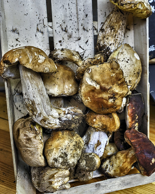 Mushrooms – Borough Market, Southwark, London, England