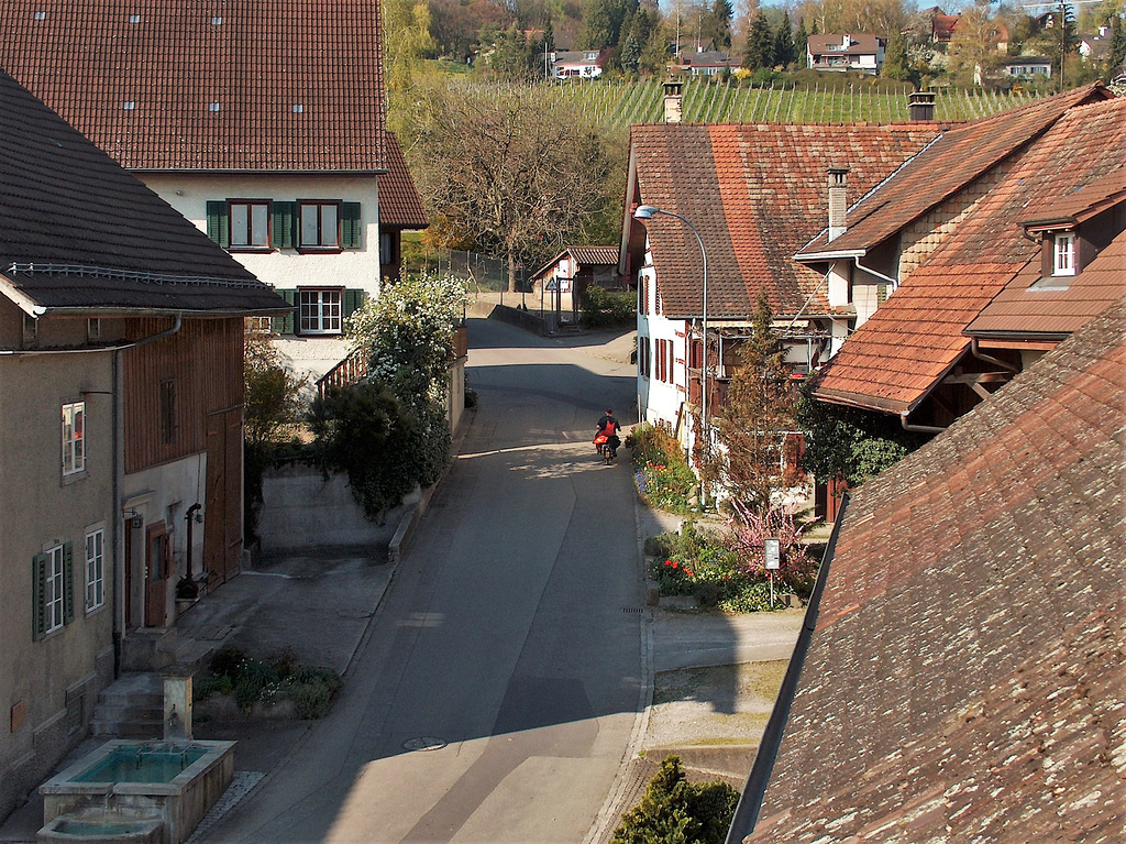 Hausdachsicht Benken ZH