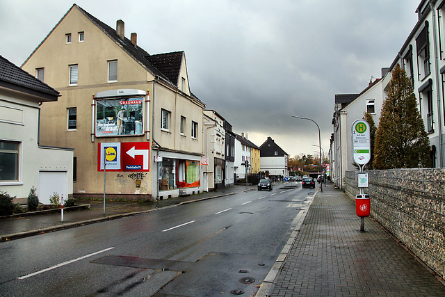 Auf dem Dahlacker (Bochum-Riemke) / 11.11.2023