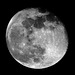 EOS 90D Peter Harriman 19 34 49 26969 waningFullMoon dpp