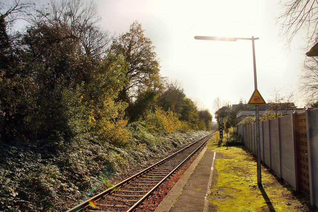 Bahnhof Dortmund Tierpark / 8.11.2020