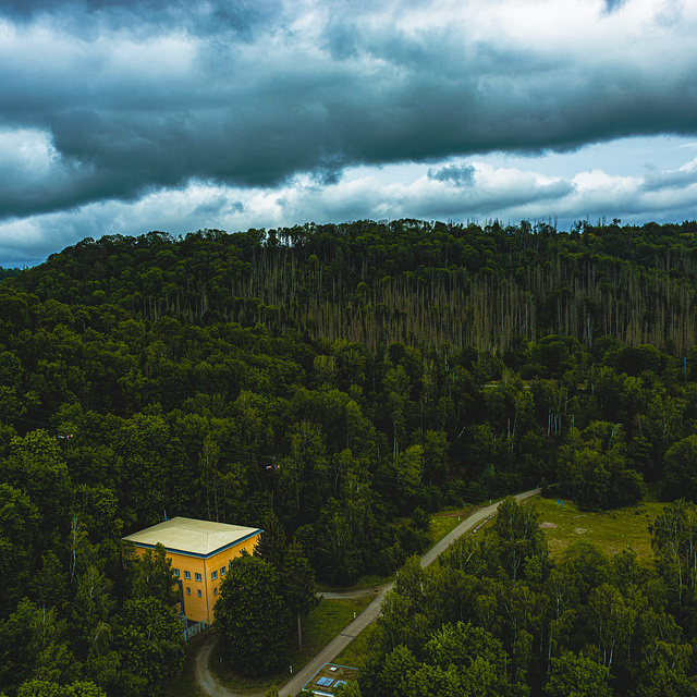 20240630_Elbingerode Rübeland Rappbodetalsperre