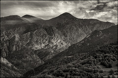 El silenci calla i escolta