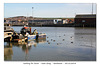 Waiting for lunch - Newhaven - 20.12.2014