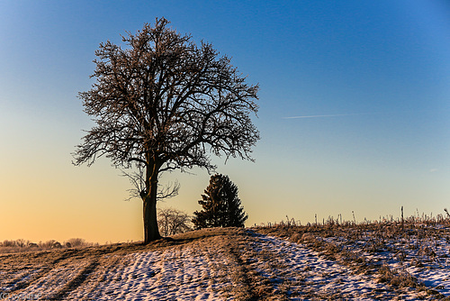 Morgenlicht - Morning Light (195°)