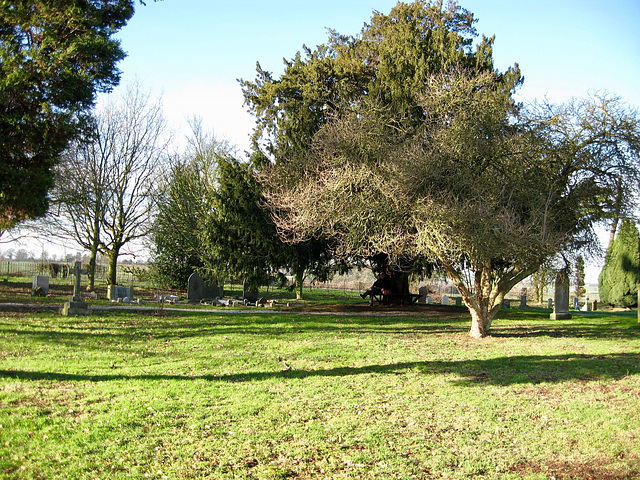 Church of St. Chad at Wishaw