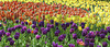 2018-05-21-DSC 0219-Modifier-2