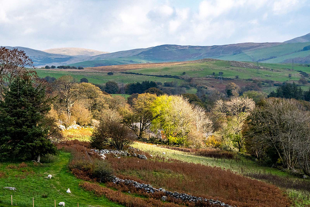 Welsh landscape.49jpg