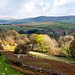 Welsh landscape.49jpg