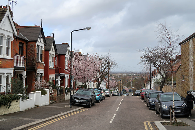 Hurst Road, looking north