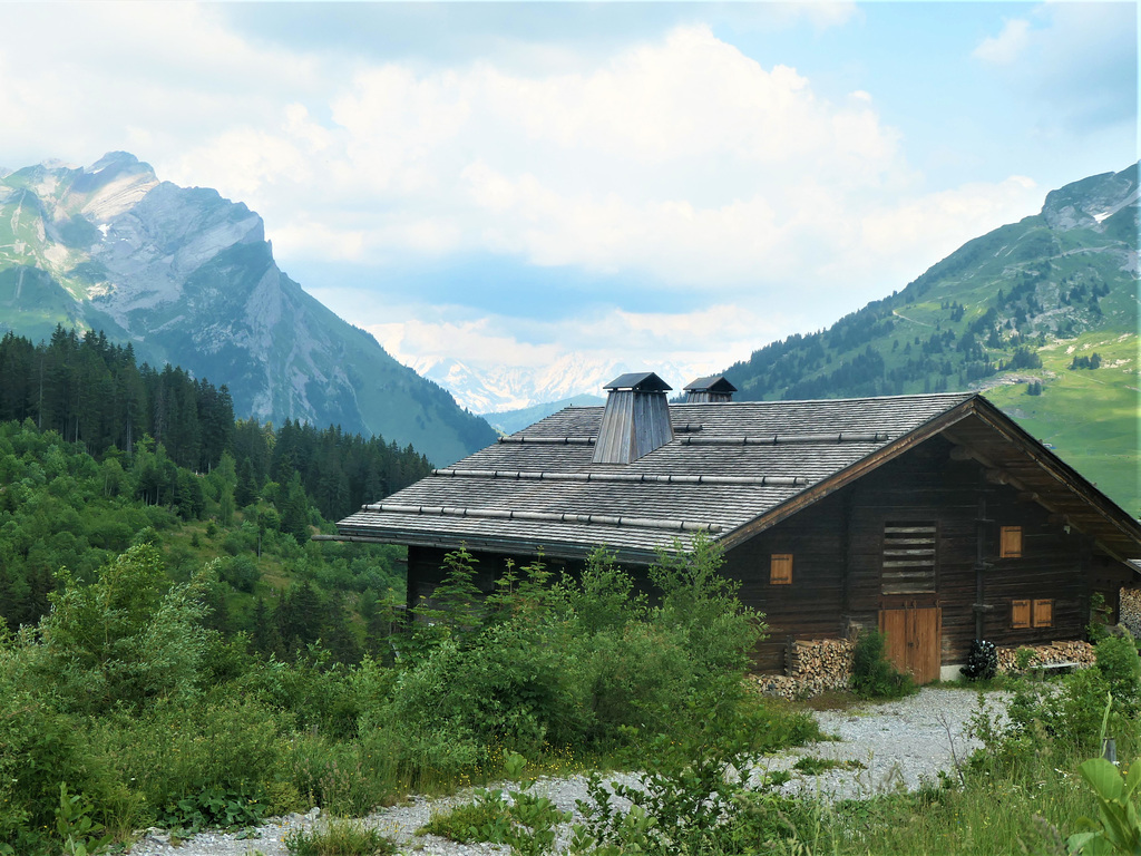 Dans les ARAVIS.