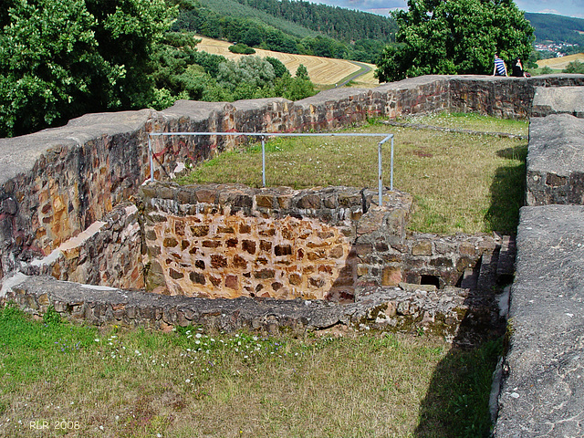 Burgruine Wartenberg, Palaskeller