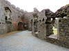 restormel castle, cornwall (18)