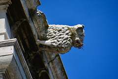 Lisbon 2018 – Museu Nacional do Azulejo – Gargoyle