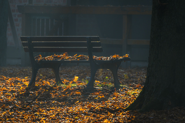 Herbst (+2 PIPs) - HFF und ein entspanntes Wochenende wünsche ich euch allen